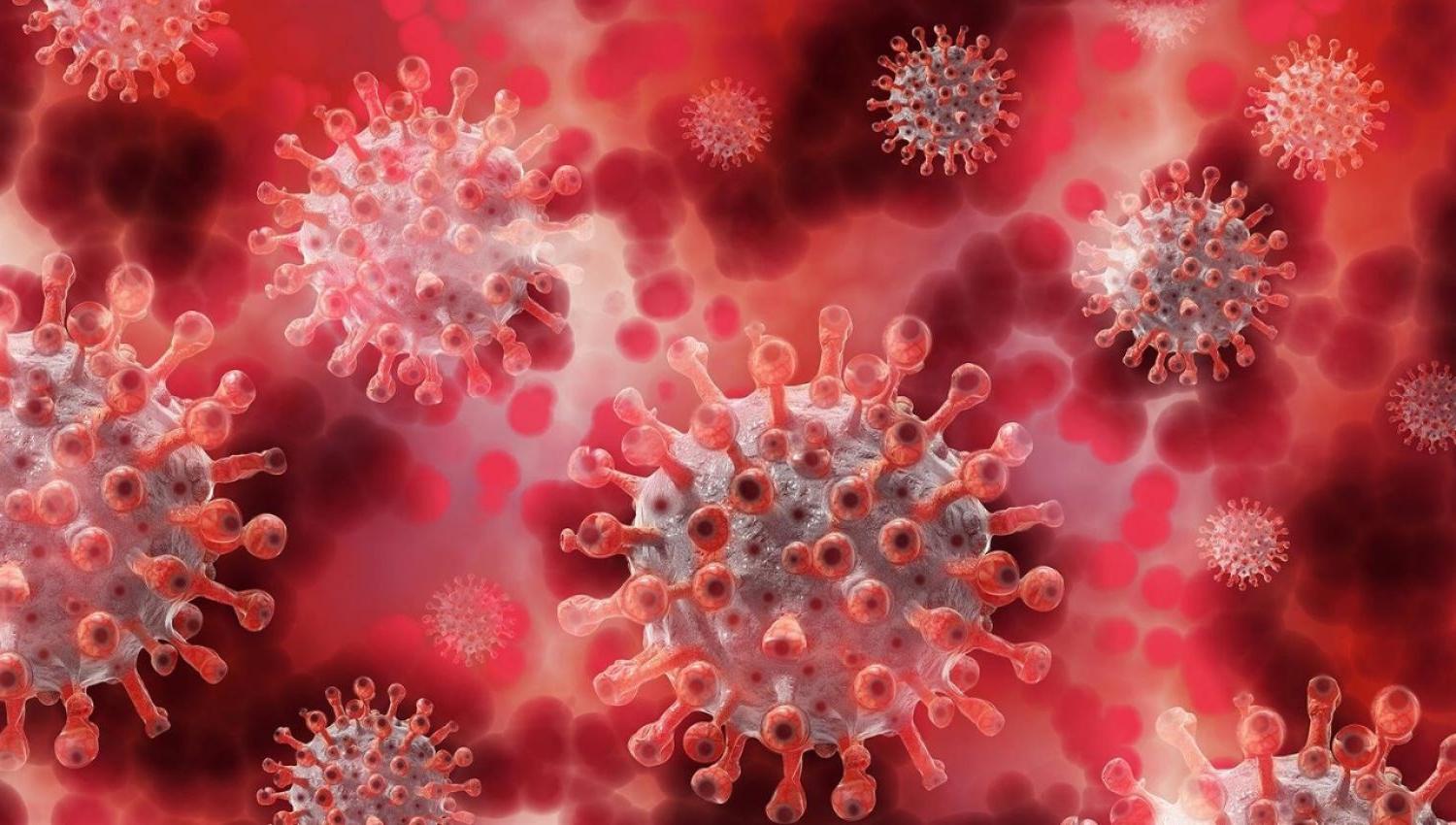 A close-up of the coronavirus